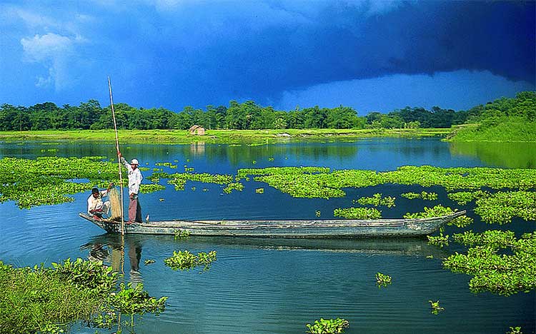 নৈসর্গের কাছে...