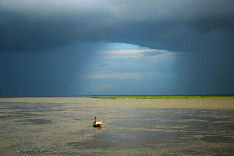 বিলের জলে নৌকা চলে