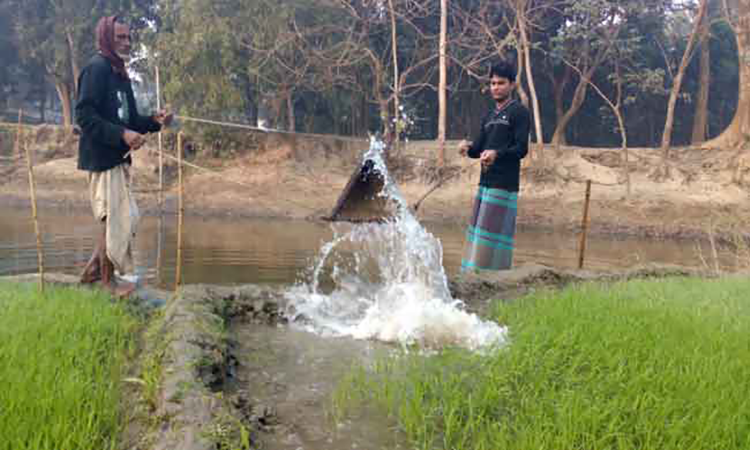 মনে পরে কি এমন করে পানি সেচের কথা