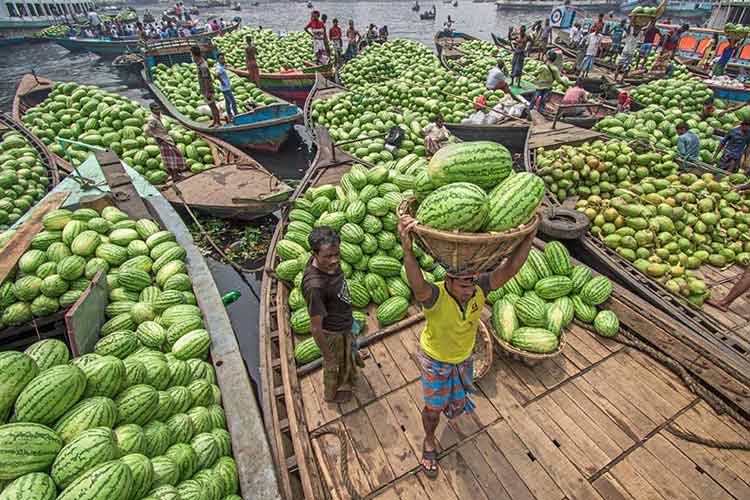 তরমুজের বাহার