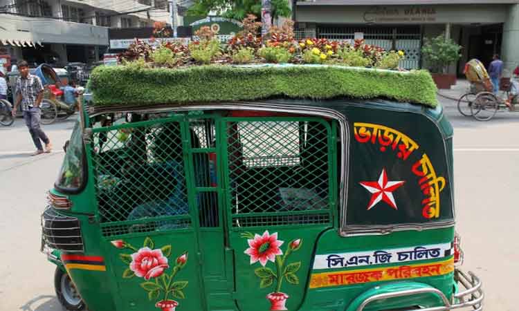 যাত্রীদের আকর্ষণ করতে সিএনজিচালিত অটোরিকশার ছাদে সবুজ বাগান