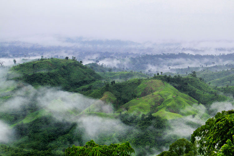 পাহাড়ের চূড়া থেকে প্রকৃতির অপূর্ব রূপ