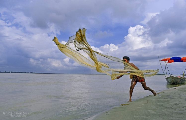 নদীতে জাল ফেলে মাছ ধরা... মনে আছে কি