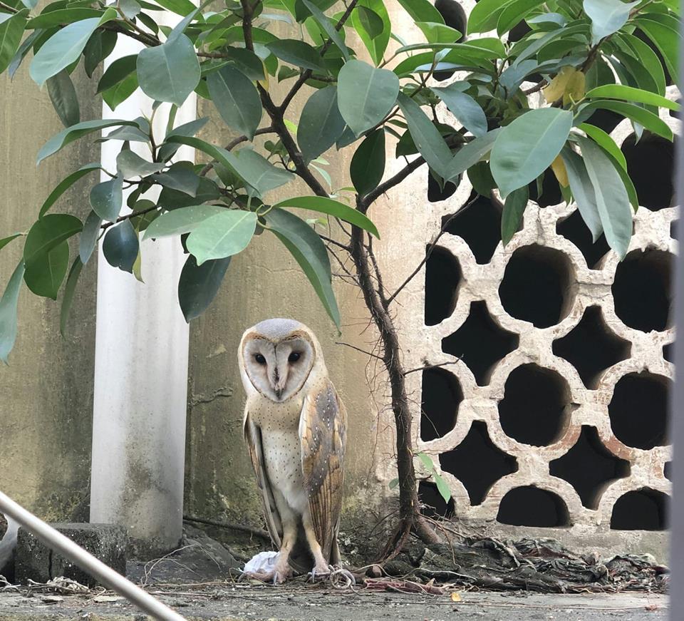 ভোরের বিশেষ অতিথি। ছবি: ইয়াকিন সাজ্জাদ