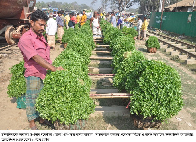 তাজা ধনেপাতার স্বাদই আলাদা