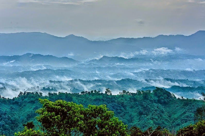 মেঘের রাজ্যে সবুজ অরণ্য