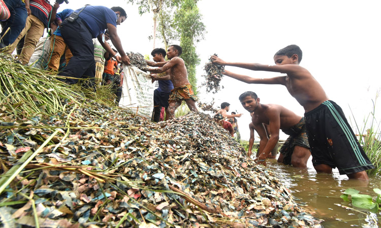 বগুড়ায় রাস্তার পাশে ডোবায় বিপুল পরিমাণ ছেড়া টাকা