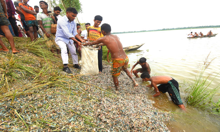 বগুড়ায় রাস্তার পাশে ডোবায় বিপুল পরিমাণ ছেড়া টাকা