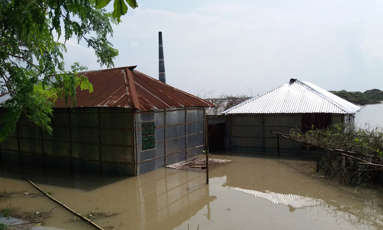 ভারত ফারাক্কা বাঁধ খুলে দেয়ায় পদ্মার পানি বেড়ে যাওয়ায় পাবনায় শত শত মানুষ পানিবন্দী