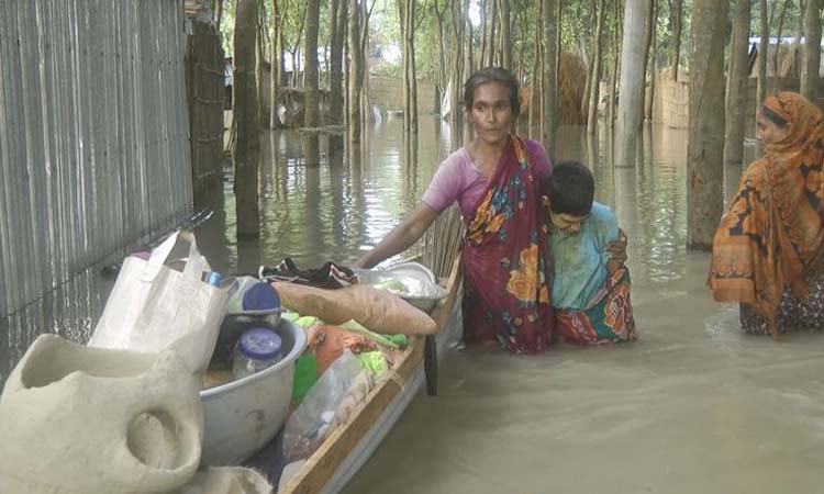 কুষ্টিয়ার দৌলতপুরে পদ্মার পানিতে তলিয়ে গেছে অনেক গ্রাম।তাই দুর্ভোগে মানুষ