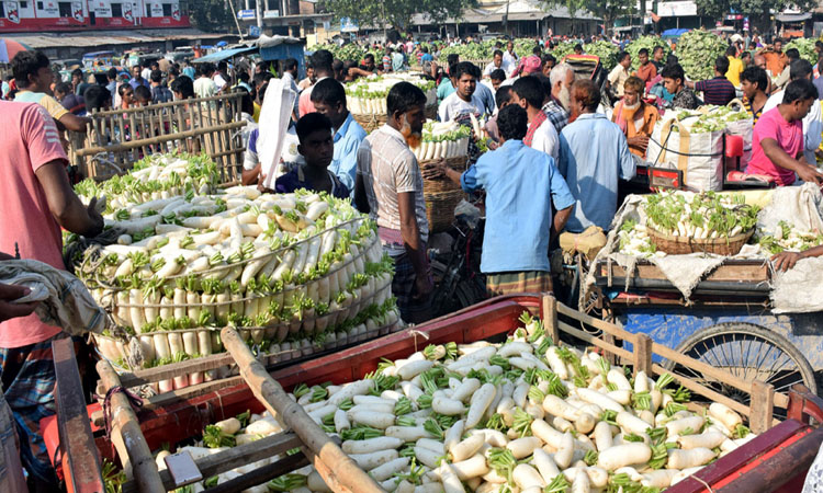 বগুড়ার বাজারে আসতে শুরু করেছে শীতের সবজি