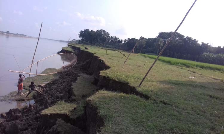 মাগুরায় একের পর এক বাড়ি ঘর গ্রাস করছে মধুমতি নদী