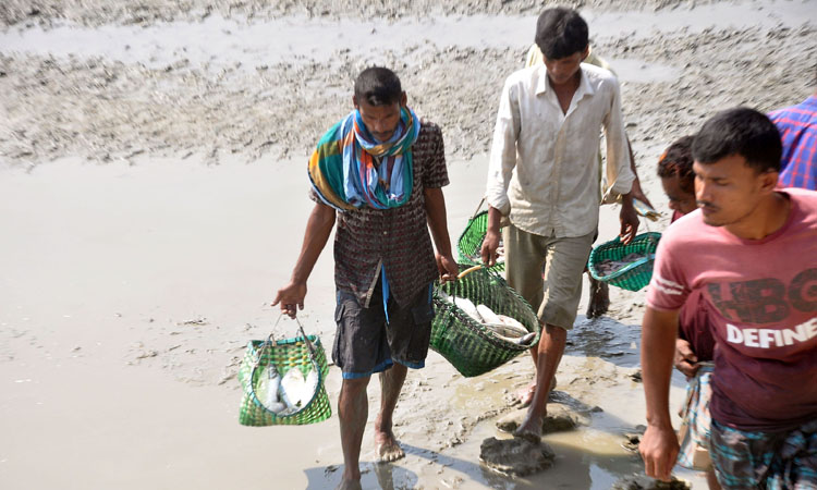 ২২ দিনের নিষেধাঞ্জা শেষে সাগরে ইলিশ ধরে ফিরছেন জেলেরা