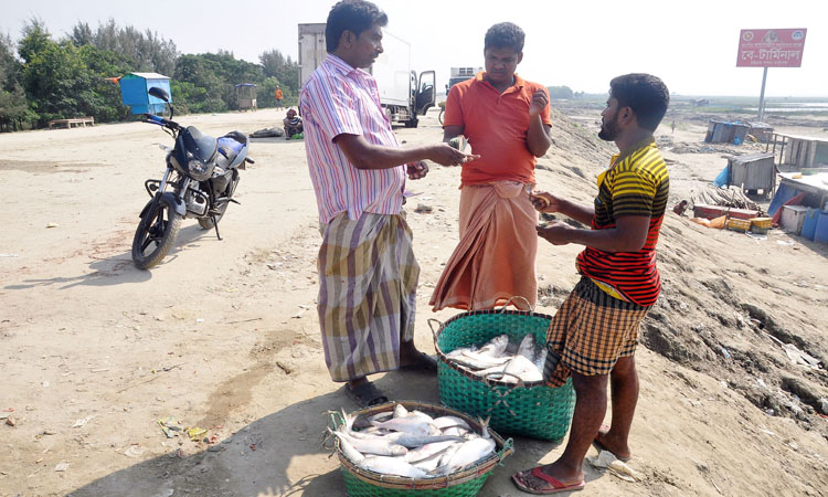 জেলের কাছ থেকে ইলিশ কিনছেন এক ব্যবসায়ী