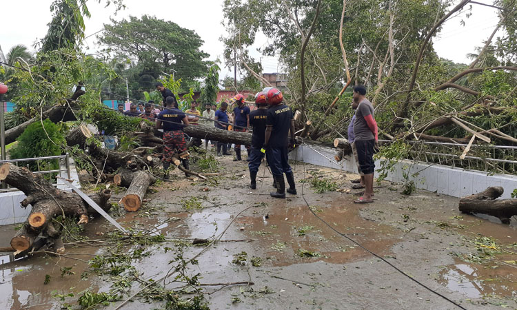 ঘূর্ণিঝড় বুলবুলের আঘাতে ভেঙে পড়া গাছ অপসারণ করছে দমকল কর্মীররা