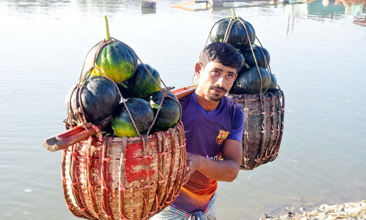 শীতের আগাম সবজি নিয়ে বাজারে যাচ্ছেন কৃষক