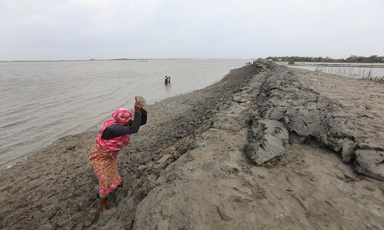 জোয়ারের পানি ঢোকার আশঙ্কায় মাটি দিয়ে বেড়িবাঁধ মজবুত করছেন এলাকাবাসী।