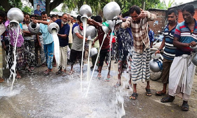 নাটোরে দুধের ন্যায্য দাম না পেয়ে অভিনব প্রতিবাদে খামারিরা।