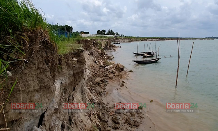 ফরিদপুরে গত কয়েক সপ্তাহ ধরে ভাঙছে পদ্মা ও মধুমতির তীর। জেলার আলফাডাঙ্গা উপজেলার বুড়াইচ, পাঁচুড়িয়া ও গোপালপুর ইউনিয়নের ফসলি জমি ও বসতভিটা বিলীন হচ্ছে নদীতে