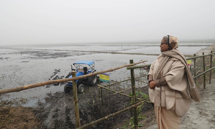 প্রধানমন্ত্রী শেখ হাসিনা শনিবার সকালে গোপালগঞ্জের টুঙ্গিপাড়া উপজেলার পাটগাতী ইউনিয়নের পুবের বিলে নিজেদের পৈত্রিক জমি পরিদর্শন করেন। জলাভূমির অন্তর্গত এ অঞ্চলের জমিগুলি বছরের ৮/৯ মাসই পানির নিচে থাকে। ভাসমান বেডে সবজি ও অন্যান্য ফসল চাষ করে এই জমিগুলি চাষ উপযোগী করে তোলার ব্যাপারে বঙ্গবন্ধুকন্যা নির্দেশনা দেন। এসময় প্রধানমন্ত্রী সারাদেশের সকল‌ অনাবাদি পতিত জমিতে চাষাবাদ করার জন্য দেশবাসীকে আহ্বান জানান; কোথাও এক ইঞ্চি জমিও যেন খালি না থাকে।