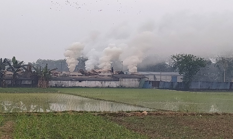 ঝিনাইদহ সদর উপজেলার পদ্মাকর ইউনিয়নের অচিন্তনগর গ্রামে জনবসতি এলাকায় তাজী অ্যাগ্রো ইন্ডাস্ট্রিজ লিমিটেড নামে পাটখড়ির ছাই থেকে কার্বন তৈরির কারখানার ছাই ও কালো ধোঁয়ায় মারাত্মকভাবে পরিবেশ দূষিত হচ্ছে। পরিবেশ অধিদপ্তরের ছাড়পত্র না নিয়ে গড়ে তোলা কারখানায় বিকাল থেকে ভোররাত পর্যন্ত আটটি চুল্লিতে পাঠখড়ি পােড়ানোয় নির্গত হয় ছাই ও কালো ধোঁয়া। দূষণের ক্ষতিকর প্রভাব পড়ছে পাশের সমসপুর, লৌহজঙ্গা, লক্ষ্মীপুর, বাজিতপুর, হুদা গোপালপুর ও কালা গ্রামের বাসিন্দাদের ওপর। শ্বাসকষ্ট, অ্যাজমা ও হাঁপানিসহ নানা রোগে আক্রান্ত হচ্ছে শিশু ও বয়োবৃদ্ধসহ বিভিন্ন বয়সি মানুষ। একই কারণে কমছে ফসলি জমির উৎপাদনও।