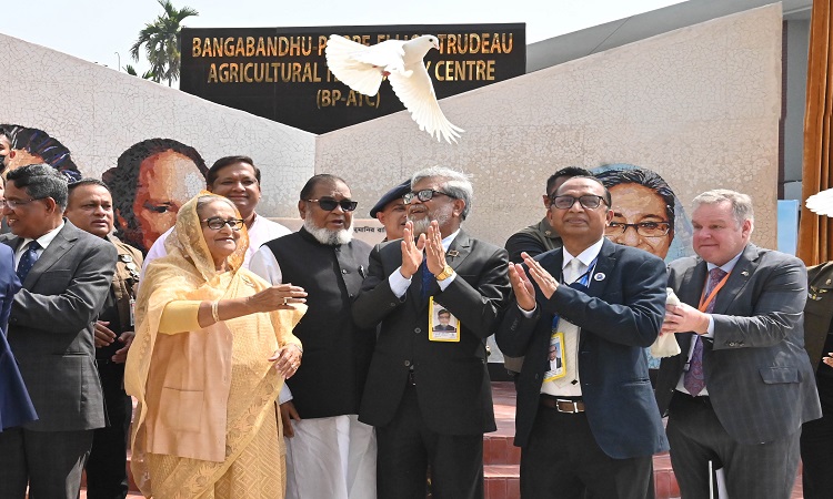 প্রধানমন্ত্রী শেখ হাসিনা বৃহস্পতিবার গাজীপুরে অবস্থিত বাংলাদেশ ধান গবেষণা ইনস্টিটিউটের ৫০ বছর পূর্তি উদযাপন অনুষ্ঠানে বেলুন ও পায়রা উড়িয়ে বঙ্গবন্ধু-পিয়েরে ট্রুডো কৃষি প্রযুক্তি কেন্দ্রের উদ্বোধন করেন।