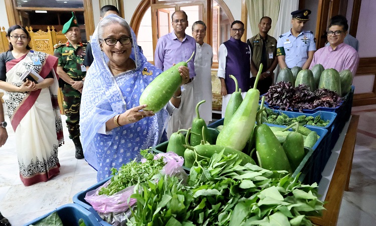 প্রধানমন্ত্রী শেখ হাসিনা বুধবার গণভবনে প্রধানমন্ত্রীর নেওয়া বিশেষ উদ্যোগের অংশ হিসেবে গোপালগঞ্জের টুঙ্গিপাড়া ও কোটালিপাড়ার পতিত জমিতে উৎপাদিত শাকসবজি ফলমূল গণভবনে আনা হলে পরিদর্শন করেন।