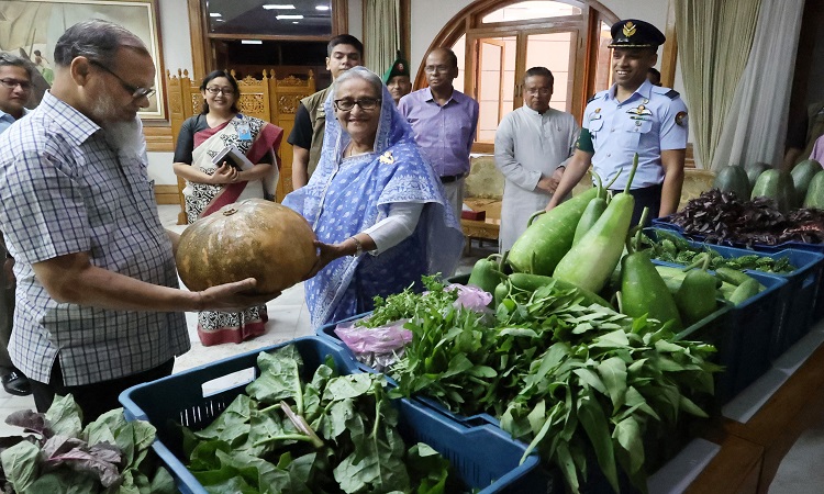 প্রধানমন্ত্রী শেখ হাসিনা বুধবার গণভবনে প্রধানমন্ত্রীর নেওয়া বিশেষ উদ্যোগের অংশ হিসেবে গোপালগঞ্জের টুঙ্গিপাড়া ও কোটালিপাড়ার পতিত জমিতে উৎপাদিত শাকসবজি ফলমূল গণভবনে আনা হলে পরিদর্শন করেন।