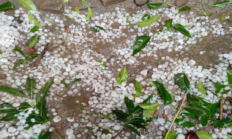 নাটোরের বাগাতিপাড়ায় মাটিতে পড়ে থাকা শিলা। গতকাল শিলা বৃষ্টি হয় নাটোরে।