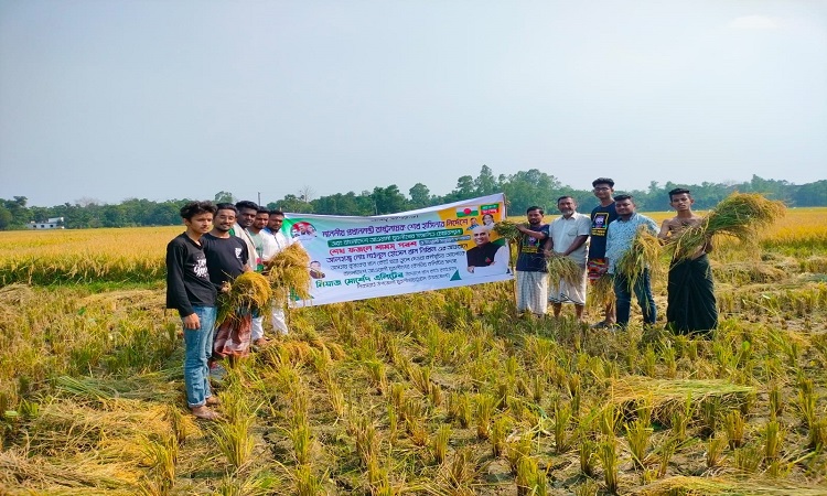 চট্টগ্রামের মিরসরাইয়ে কৃষকের ২৫ শতাংশ জমির ধান কেটে বাড়ি পৌঁছে দিয়েছে যুবলীগের নেতাকর্মীরা। শুক্রবার দুপুরে উপজেলার মিরসরাই সদর ইউনিয়নের কিছমত জাফরাবাদ গ্রামে কৃষক আনোয়ার হোসেনের জমির ধান কেটে কৃষকের বাড়িতে তুলে দেন তারা।