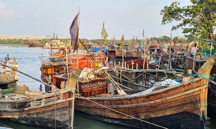 ঘূর্ণিঝড় মোখা পরিস্থিতি সাগরে মাছ শিকার না করে উপকূলে ফিরতে শুরু করেছেন কক্সবাজারের জেলেরা। এরই মধ্যে উপকূলে নোঙর করেছে তিন হাজারের কাছাকাছি মাছ ধরার ট্রলার। বৃহস্পতিবার কক্সবাজার বাঁকখালী নদীর মোহনা থেকে তোলা ছবি।