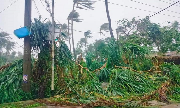 অতিপ্রবল ঘূর্ণিঝড় মোখার তাণ্ডবে লন্ডভন্ড হয়েছে সেন্টমার্টিন দ্বীপের ঘরবাড়ি ও গাছপালাসহ বহু স্থাপনা। রোববার দুপুরে মোখা উপকূল অতিক্রম শুরু করার পর প্রাথমিক আঘাতে সেন্টমার্টিনের বিভিন্ন স্থানে প্রচুর বাড়িঘর ও বিদ্যুতের খুঁটি ভেঙে যায়।