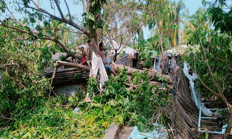 বঙ্গোপসাগরে সৃষ্ট অতিপ্রবল ঘূর্ণিঝড় মোখা সবচেয়ে বেশি আঘাত হেনেছে সাগরের বুকে ৮ বর্গকিলোমিটার আয়তনের প্রবালদ্বীপ সেন্ট মার্টিনে। প্রায় পুরো দ্বীপটিই একটি ধ্বংসস্তূপে পরিণত হয়েছে। এরমধ্যেই বাসিন্দারা নতুন করে ঘুরে দাঁড়াতে চেষ্টা করছেন। রোববার বেলা ২টা থেকে বিকেল সোয়া ৫টা পর্যন্ত ৩ ঘণ্টার তাণ্ডবে দ্বীপটির হাজারখানেক কাঁচা ও আধা পাকা ঘরবাড়ি ভেঙে যায়। ৪০০'র ওপর নারকেলগাছসহ অন্তত ৩ হাজার গাছগাছালির ক্ষতি হয়। ঝড়ে আহত হন অন্তত ১০ জন। ছবিটি সোমবার তোলা।