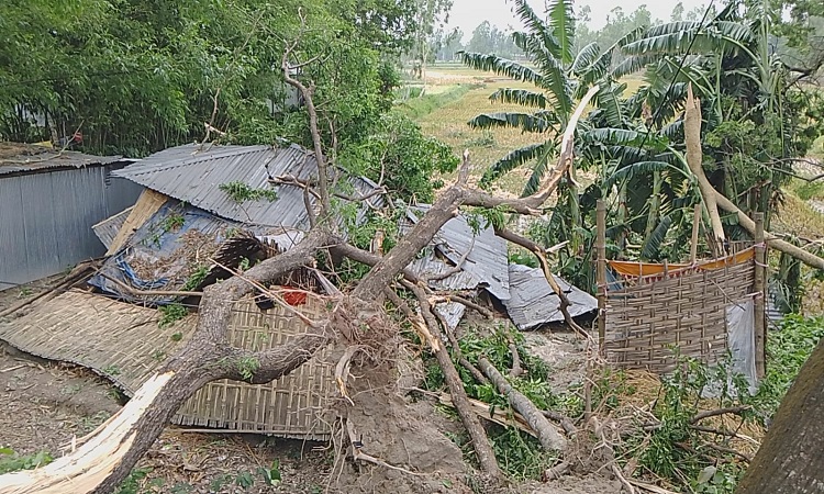 রংপুরে কাউনিয়ায় কালবৈশাখীতে তিন শতাধিক ঘর বিধ্বস্ত হয়েছে। এতে শতাধিক পরিবার গৃহহারা হয়ে পড়েছে। ক্ষতিগ্রস্ত হয়েছে ৪৫০টি গাছ।  বন্ধ রয়েছে বিদ্যুৎ সরবরাহ।  সোমবার রাত পৌনে ১১টার দিকে ঝড় শুরু হয়। উপজেলার শহীদবাগ, সারাই ও হারাগাছ ইউনিয়নের প্রাণনাথ, কাচা, চর একতা, পল্লীমারীসহ বেশ কয়েকটি গ্রামে কালবৈশাখী আঘাত হানে। মঙ্গলবার তোলা ছবি।