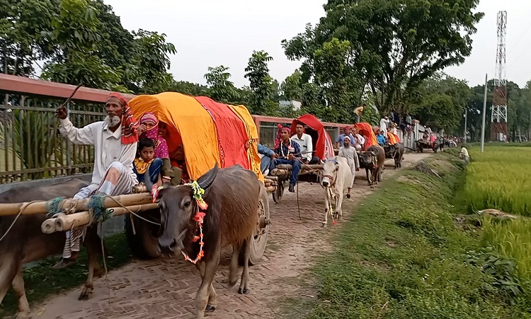 মোটর গাড়ি কিংবা হেলিকপ্টারে নয়, এবার বাবার ইচ্ছা পূরণ করতে গ্রাম বাংলার হারিয়ে যাওয়া গরু ও মহিষের ১০টি গাড়িতে করে বরযাত্রী নিয়ে বর বেশে কনের বাড়িতে বিয়ে করতে গেলেন নিরব নামে এক যুবক। আর এ বিয়ে দেখতে ভীড় জমান শত শত নারী-পুরুষ। শুক্রবার বিকালে এমনই এক ব্যতিক্রম বিয়ের আয়োজন করা হয় ঠাকুরগাঁওয়ের পীরগঞ্জে।