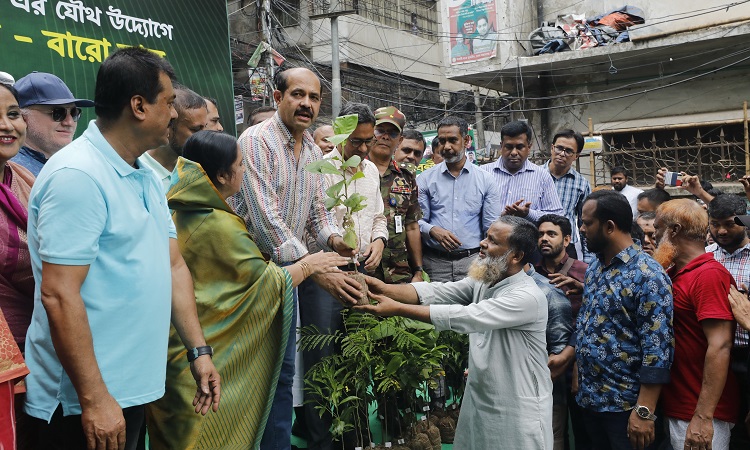 বৃহস্পতিবার (২২ জুন) ডিএনসিসি ও বন অধিদপ্তরের যৌথ উদ্যোগে আয়োজিত ‘সবুজে বাস, বারো মাস’ শীর্ষক বৃক্ষরোপণ কর্মসূচিতে উত্তরের মেয়র আতিকুল ইসলাম।