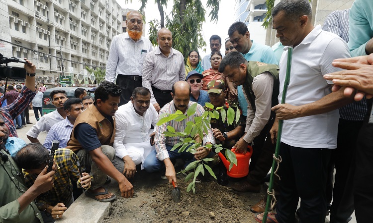 বৃহস্পতিবার (২২ জুন) ডিএনসিসি ও বন অধিদপ্তরের যৌথ উদ্যোগে আয়োজিত ‘সবুজে বাস, বারো মাস’ শীর্ষক বৃক্ষরোপণ কর্মসূচিতে উত্তরের মেয়র আতিকুল ইসলাম।