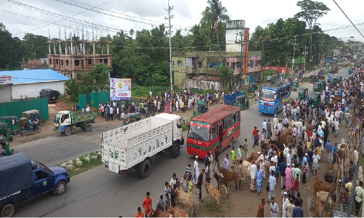 চট্টগ্রামের পিএবি সড়কে প্রায় এক কিলোমিটার জুড়ে পশুর হাট বসার কারণে দীর্ঘ যানজট