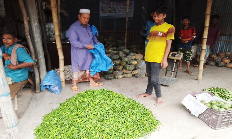 দিনাজপুরের ফুলবাড়ী পৌরসভার পাইকারী আড়তে আমদানী স্বাভাবিক হয়েছে কাঁচা মরিচের, দামও কমে অর্ধেকে নেমে এসেছে