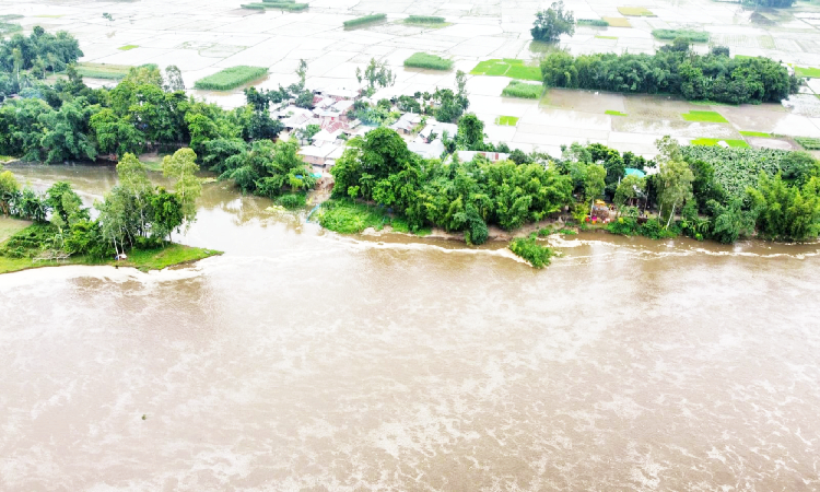 উজান থেকে নেমে আসা পাহাড়ি ঢল ও ভারী বৃষ্টিপাতে লালমনিরহাটের হাতীবান্ধায় তিস্তা ব্যারাজ পয়েন্টে বিপৎসীমার ৩৫ সেন্টিমিটার ওপর দিয়ে পানি প্রবাহিত হচ্ছে