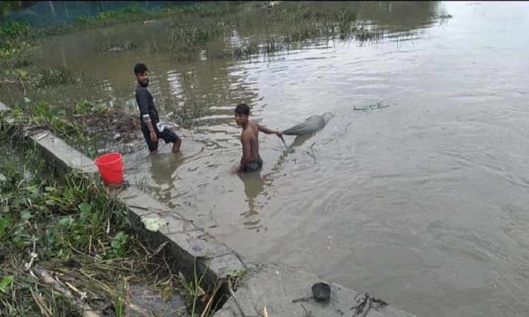 লক্ষ্মীপুরের রায়পুরে মেঘনায় নিষিদ্ধ 'ম্যাজিক চাই' দিয়ে অবাধে মাছ শিকার করছেন অসাধু জেলেরা।এ চাই ব্যবহার করার কারণে মেঘনায় দেশীয় ও বিরল প্রজাতির বিভিন্ন মাছের পোনাও ধরা পড়ছে। ফলে দিন দিন নদী থেকে দেশীয় প্রজাতির সুস্বাদু মাছ বিলীনহয়ে যাচ্ছে। 'ম্যাজিক চাই' নিষিদ্ধ কারেন্ট জালের চেয়েও ভয়ংকর। প্রায় ৮ মিলিমিটার রড দিয়ে ৪০০ মিলিমিটার রাউন্ড বা স্কয়ার রিং পরিয়ে এক শ্রেণির অসাধু ব্যবসায়ী চোরাই পথে এনে তা বিভিন্ন বাজারে বিক্রি করছেন।