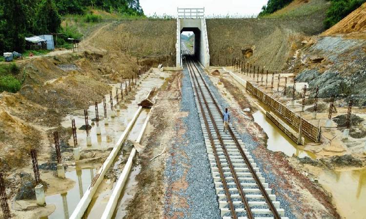 দোহাজারী-কক্সবাজার রেললাইনে চট্টগ্রামের লোহাগাড়া উপজেলার চুনতি বন্যপ্রাণী অভয়ারণ্যের বুক চিরে নির্মিত হয়েছে এশিয়ার সর্বপ্রথম এলিফ্যান্ট ওভারপাস।