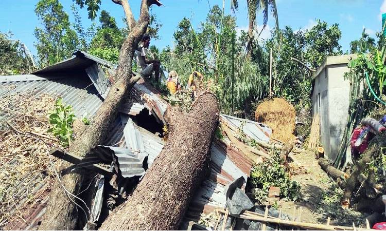 ঘূর্ণিঝড় হামুনের তাণ্ডবে পুরো কক্সবাজার লন্ডভন্ড হয়ে পড়েছে। জেলা প্রশাসনের হিসেবে, ক্ষতিগ্রস্ত হয়েছে ৫ লাখ মানুষ। ভেঙে গেছে ৩৮ হাজারের বেশি বসত ঘর। বিশেষ করে বিদ্যুৎ ও কৃষিতে ব্যাপক ক্ষয়ক্ষতি হয়েছে।