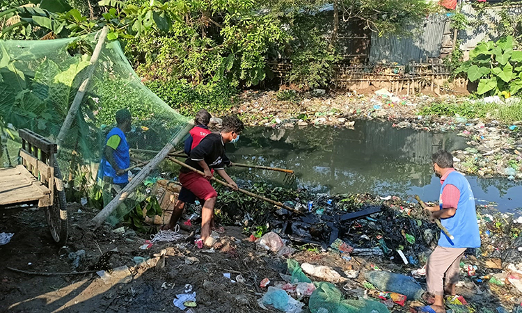 কিউলেক্স মশার উপদ্রবের কারণে নগরবাসীর স্বাভাবিক জীবনযাত্রা যেন ব্যাঘাত সৃষ্টি না করে, সে জন্য ঢাকা উত্তর সিটি করপোরেশনের (ডিএনসিসি) আওতাধীন এলাকার সব নালা-নর্দমা, ডোবা, খাল ও জলাশয় পরিষ্কার করে রক্ষণাবেক্ষণের ব্যবস্থা নেওয়া হয়েছে। গত ২৬ নভেম্বর থেকে ডিএনসিসির ১০টি অঞ্চলের মশক কর্মী ও পরিচ্ছন্নতাকর্মীরা একযোগে সব খাল, নালা-নর্দমা, ডোবা ও জলাশয় পরিষ্কার কার্যক্রম শুরু করেন।