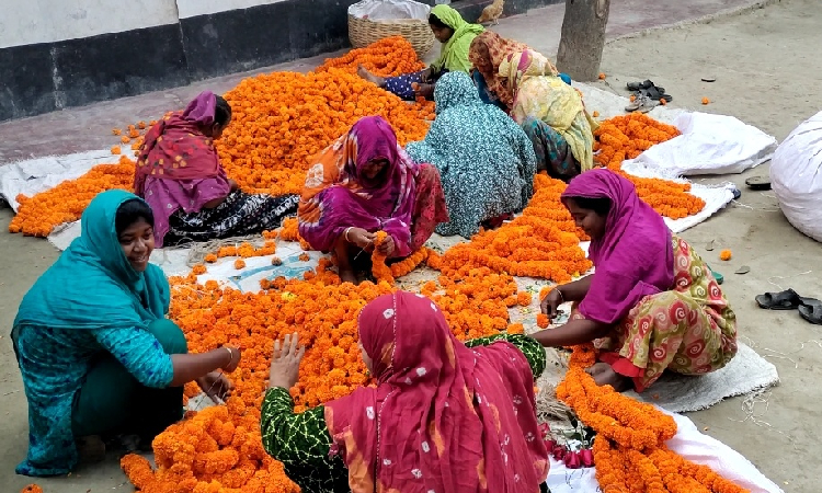 এবার স্মরণকালের সবচেয়ে বেশি দামে ফুল বিক্রি করছেন ফুলের রাজধানীখ্যাত যশোরের ঝিকরগাছার গদখালী ইউনিয়নের চাষিরা। আগামী ১৪ ফেব্রুয়ারি পয়লা ফাল্গুন, বসন্তের প্রথম দিন একইদিন বিশ্ব ভালোবাসা দিবস।