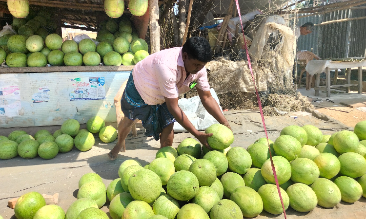 খাগড়াছড়ির দীঘিনালা উপজেলায় স্থানীয় হাট-বাজারের এবছরের নতুন তরমুজ বেঁচা-কিনা শুরু হয়েছে।