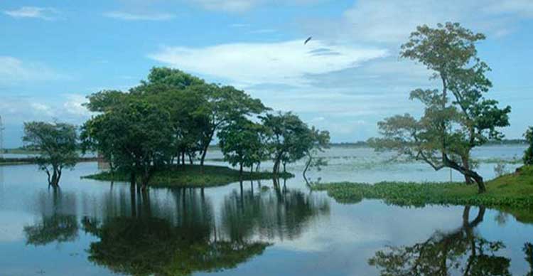 বাংলার গর্ব ‘টাঙ্গুয়ার হাওর’