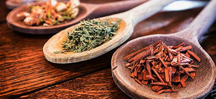চন্দনের অসাধারণ কিছু উপকারিতা