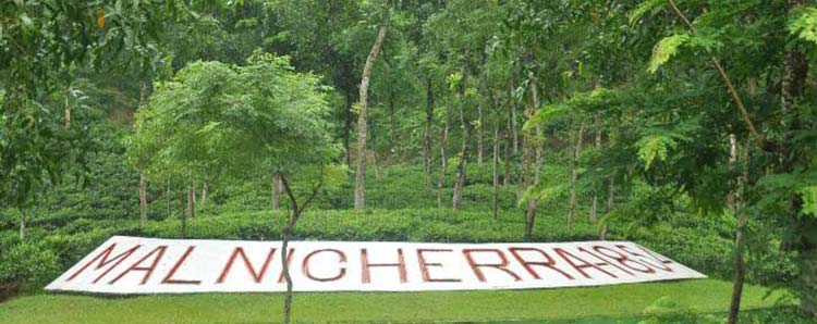 স্মৃতিঘেরা মালনীছড়া চা বাগান