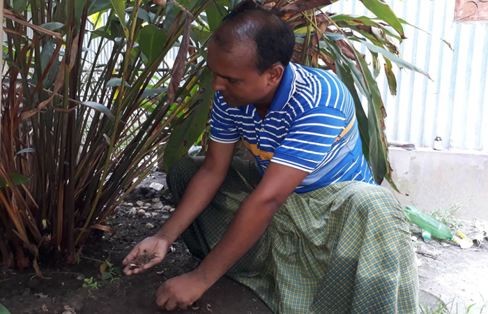 রৌমারীতে এলাচ চাষে সফল রেজাউল